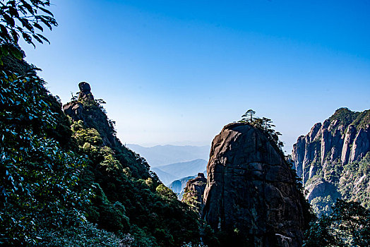 听话水批发价格F3381681-338168